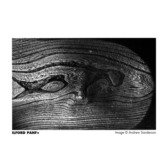 Ilford Pan F Plus 50 35mm B&W Film (36exp)