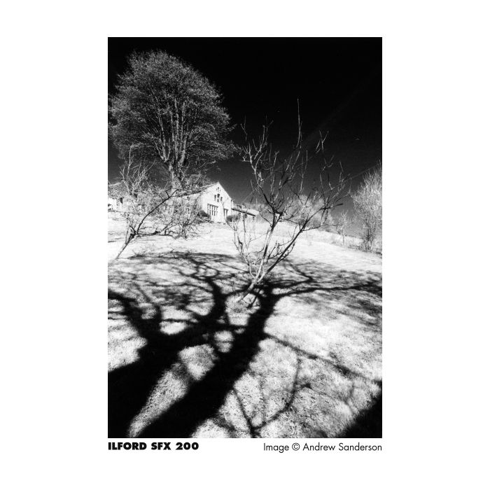 Ilford SFX 200 35mm B&W Film (36exp)